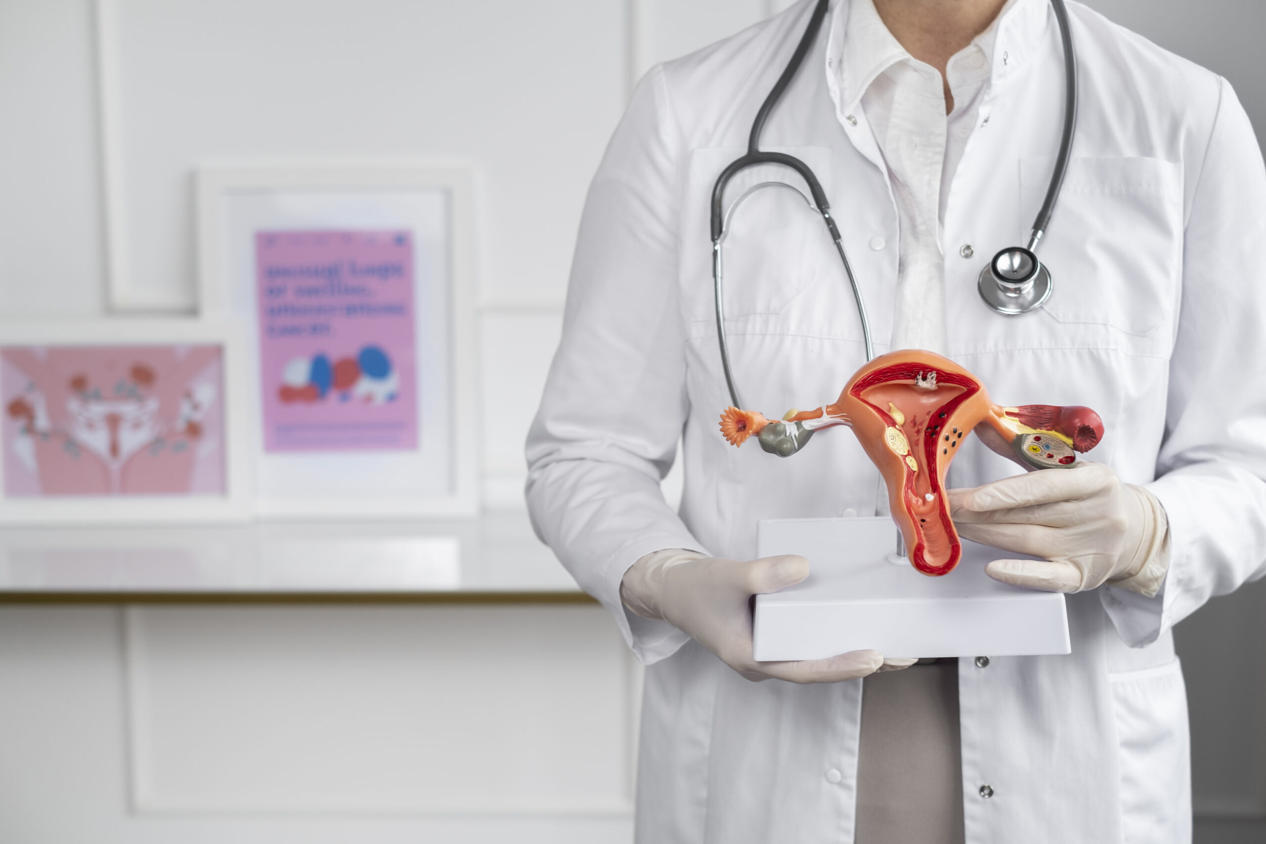 uterine